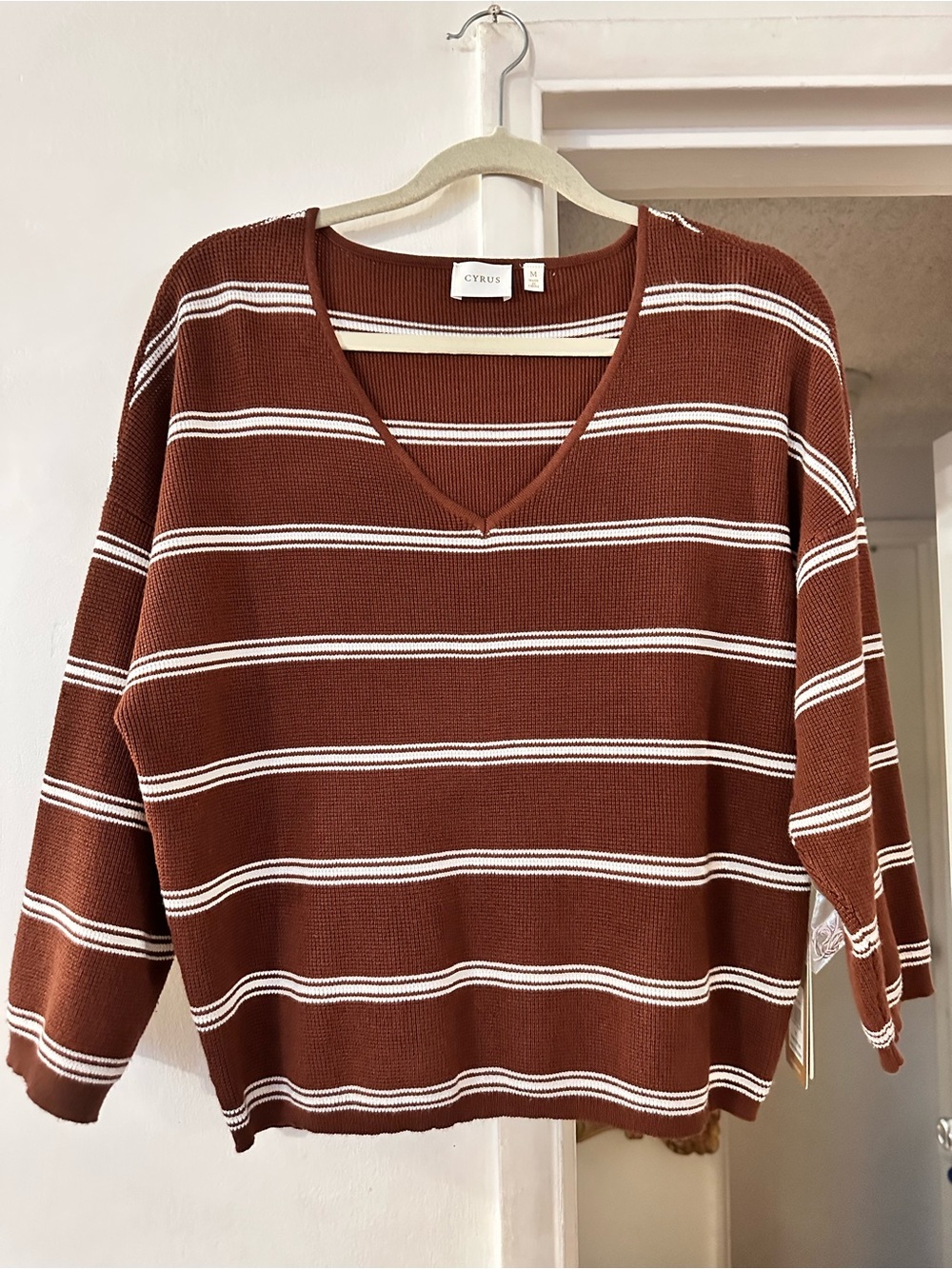Cyrus Rust and white Striped V-Neck Sweater